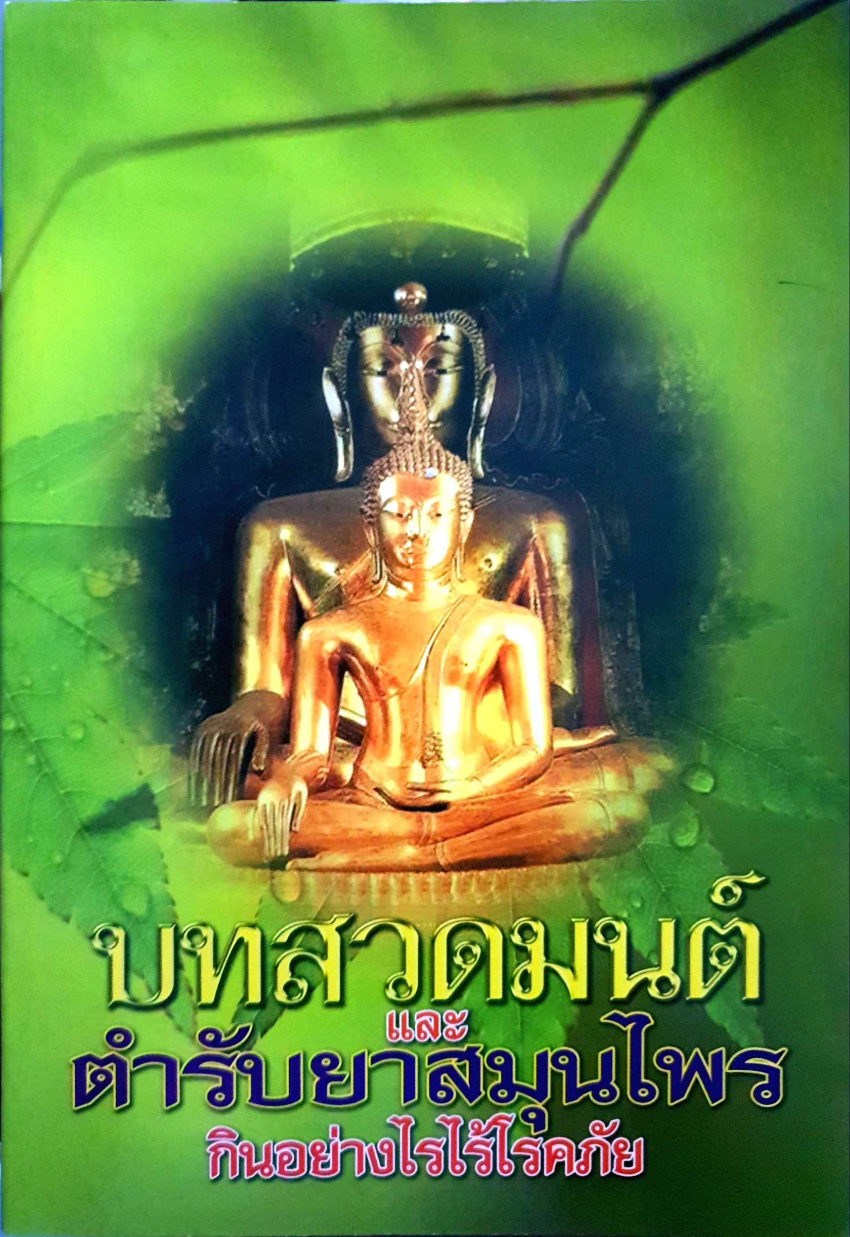 บทสวดมนต์ และตำรับยาสมุนไพร กินอย่างไรไร้โรคภัย