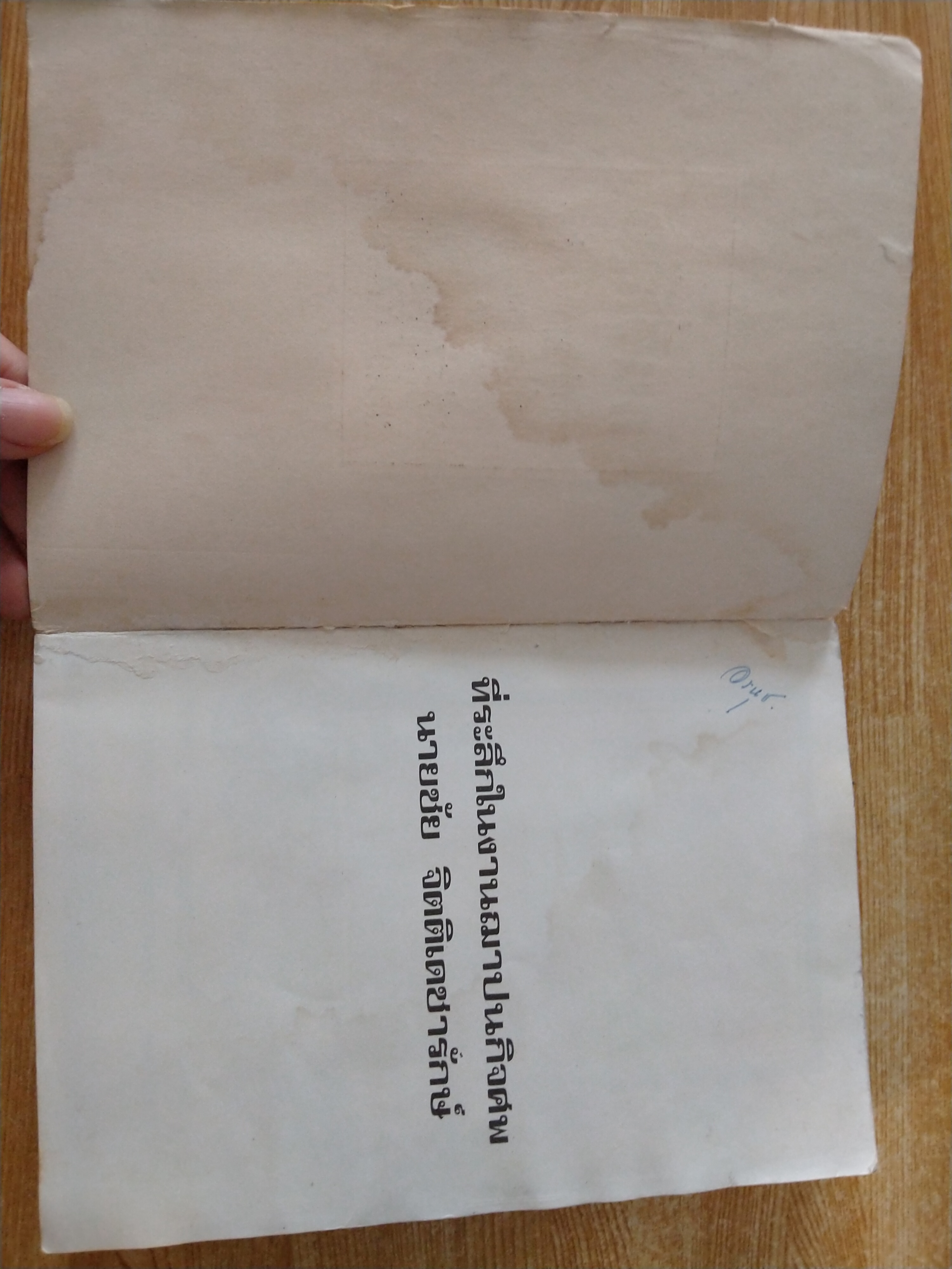 คนขี่เสือ