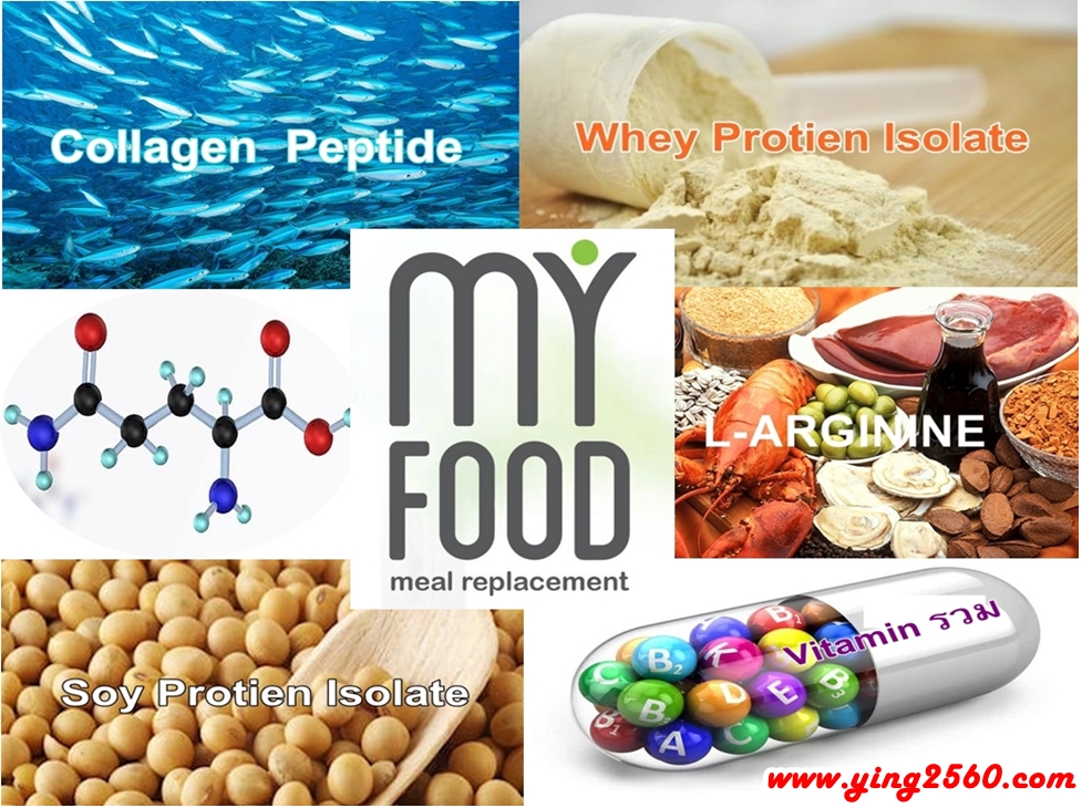 Myfood,มายฟู้ด,ผลิตภัณฑ์ทดแทนมื้ออาหาร,ลดน้ำหนัก,ทดแทนมื้ออาหาร,กินแทนข้าว Myfood,มายฟู้ด,ผลิตภัณฑ์ทดแทนมื้ออาหาร,ลดน้ำหนัก,ทดแทนมื้ออาหาร,กินแทนข้าว