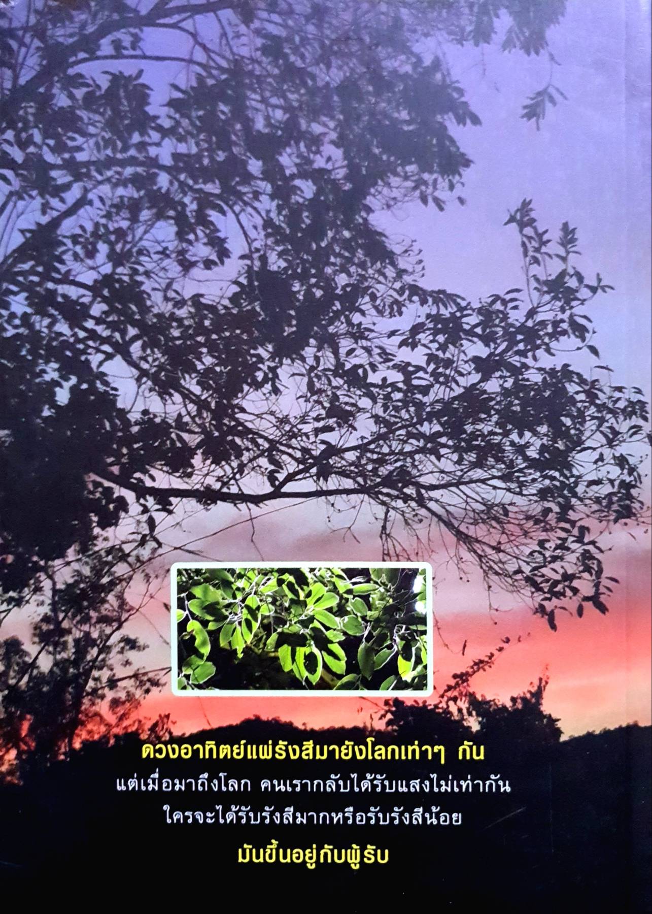 ธมฺมทานํ คติธรรมจากคำสอนพระอาจารย์จันมี. อนาลัยวัดป่าแก้งใหม่ จังหวัดหนองคาย