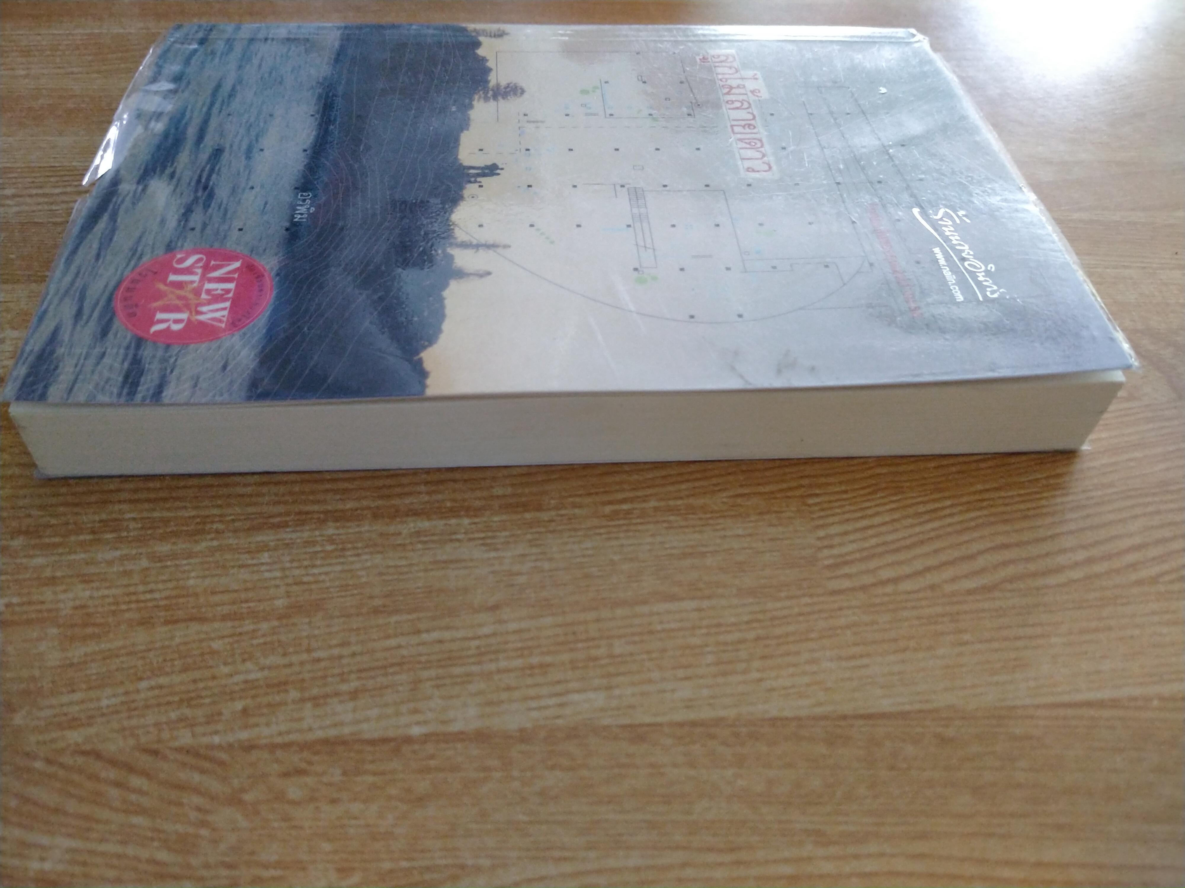 ลูกไม้ลายดาว