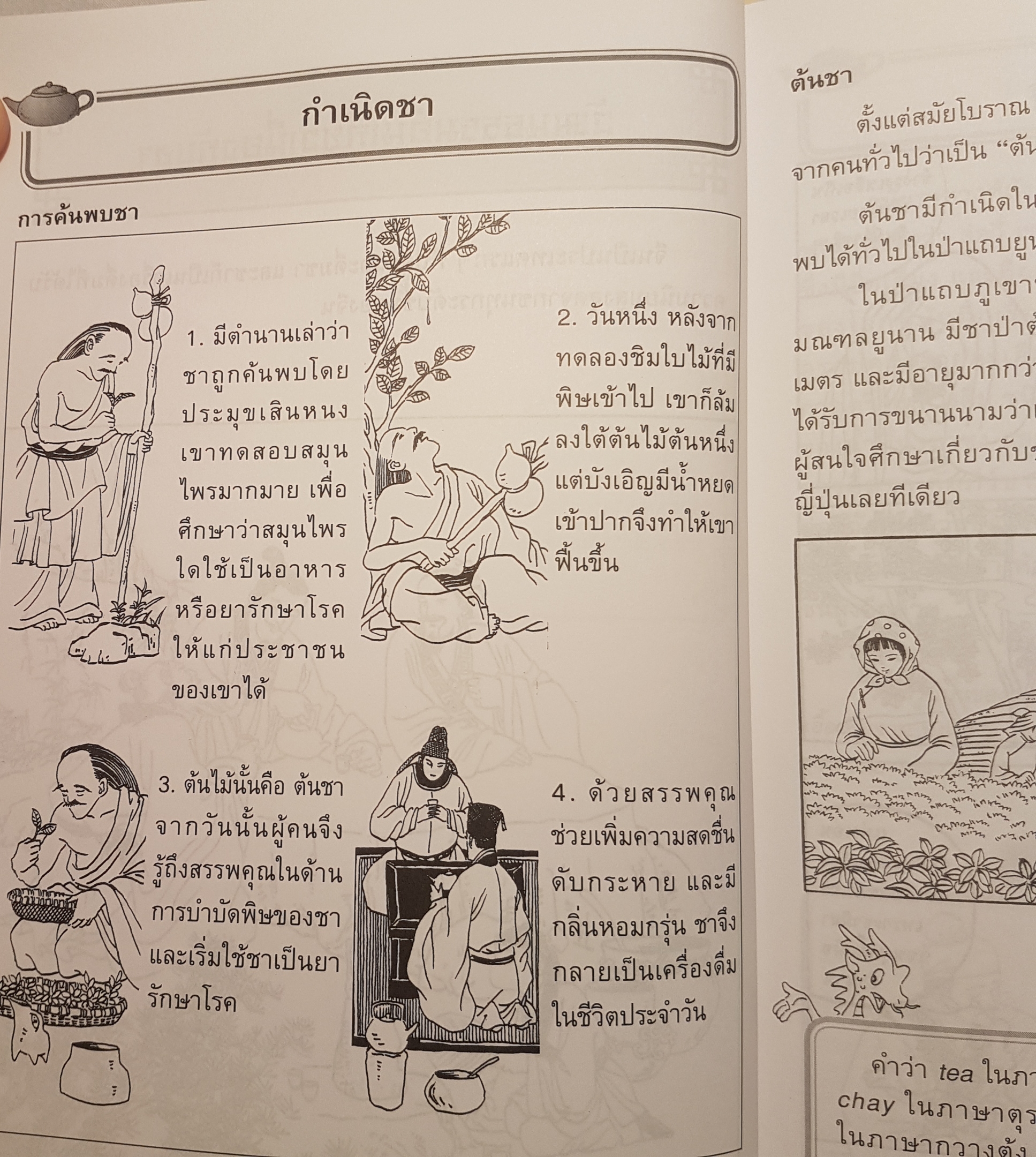 1.ต้นกำเนิดอาหาร 2.ต้นกำเนิด ชาและเหล้าจีน