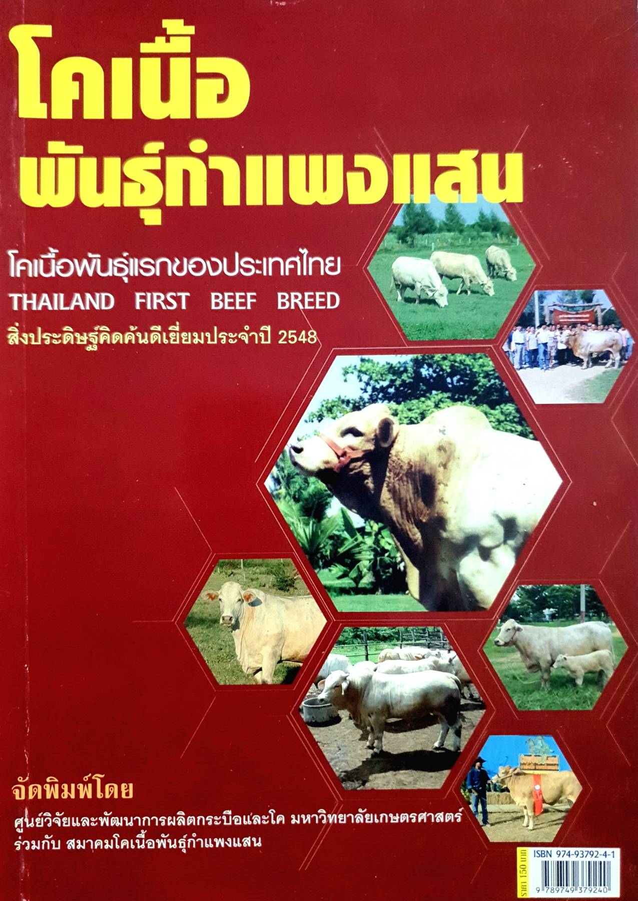 เนื้อพันธุ์ กำแพงแสน โคเนื้อพันธุ์แรกของประเทศไทย THAILAND FIRST BEEF BREED