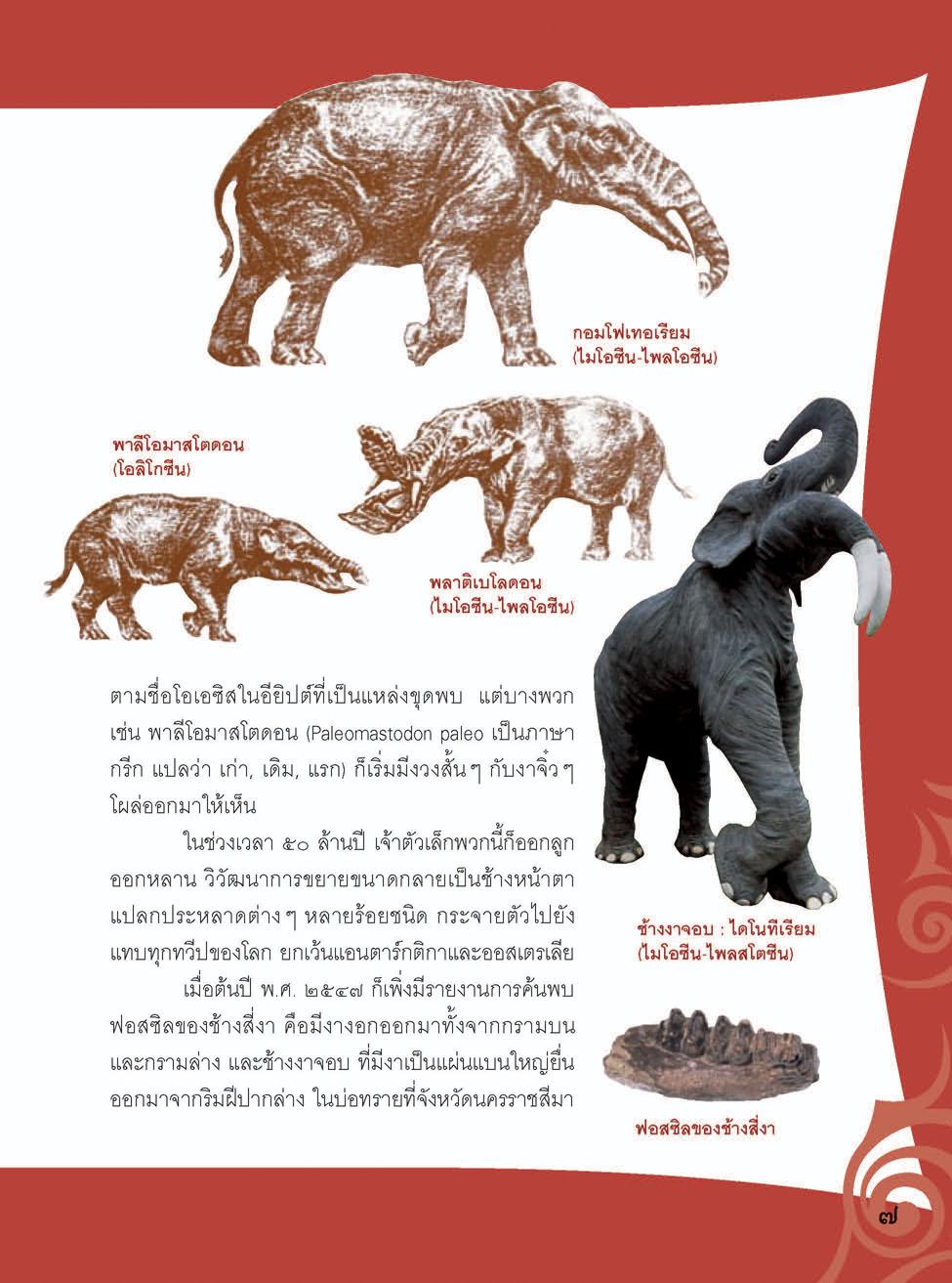 ช ช้าง กับ ฅ ฅน