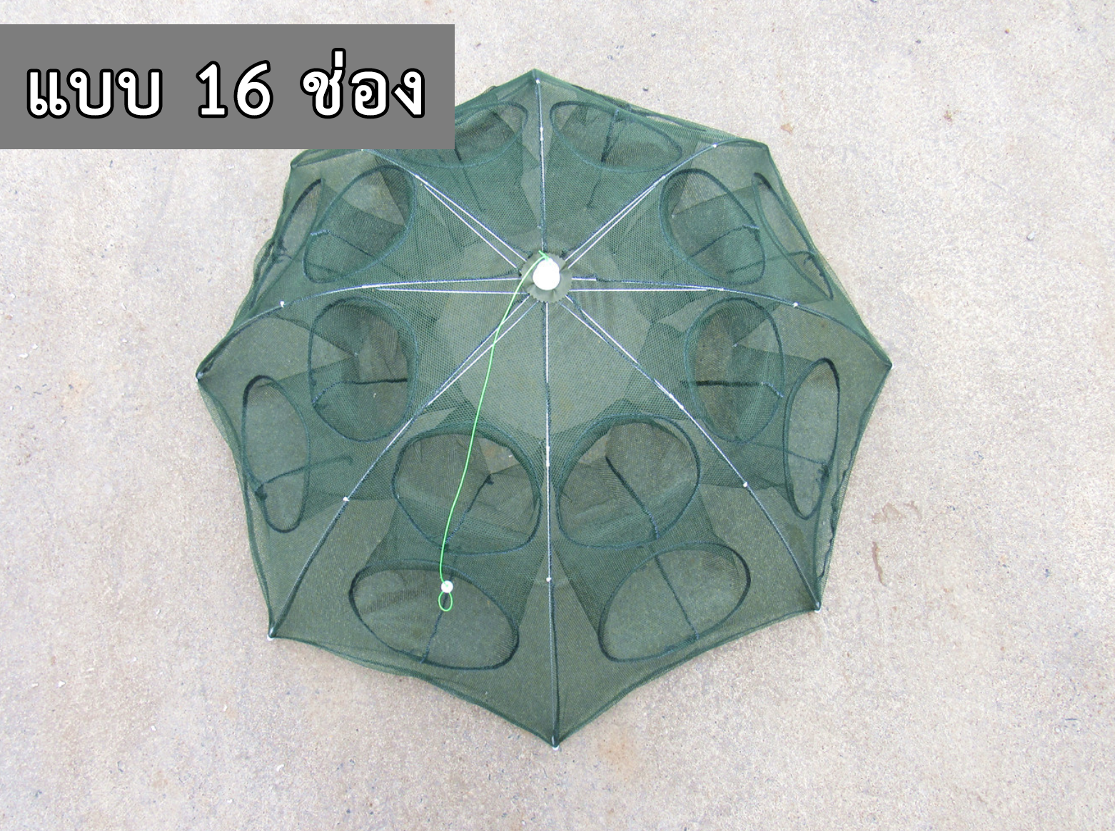มุ้งตาข่ายดักปลาดักกุ้ง (กระชังร่มพับได้) ขายปลีกส่ง ราคาถูก