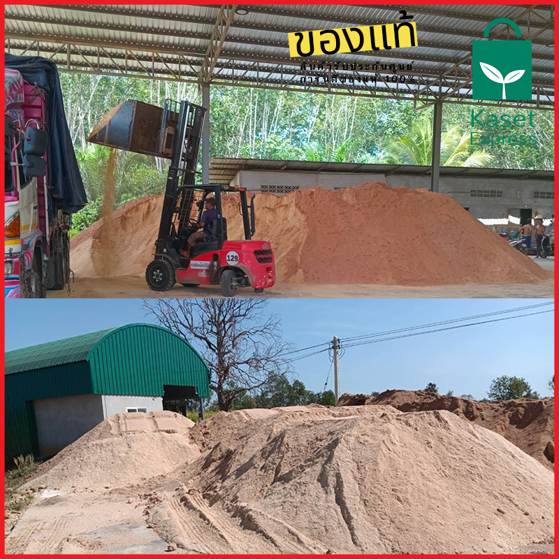 จำหน่ายขี้เลื่อยไม้ยางพารา สำหรับเพาะเห็ด คุณภาพดี ราคาส่งจากโรงงาน!