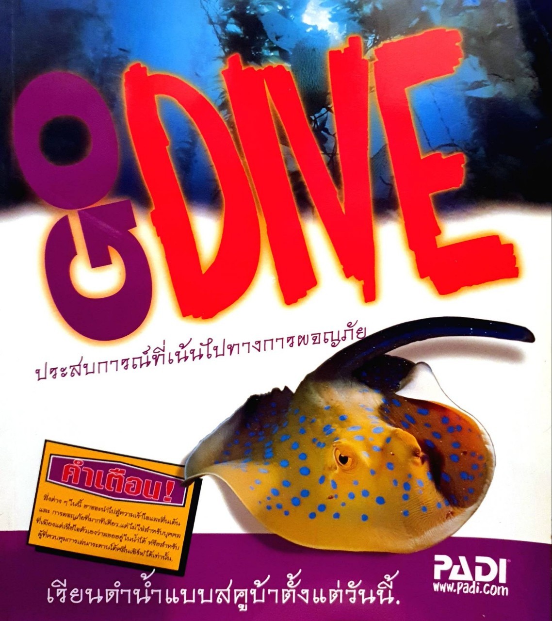GO DIVE ประสบการณ์ที่เน้นไปทางการผจญภัย : PADI