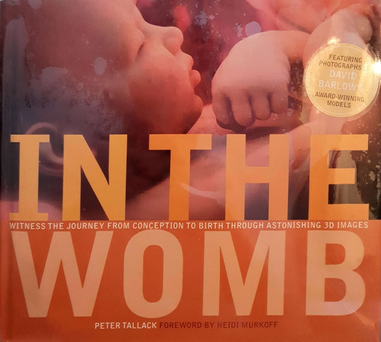 IN THE WOMB : Peter Tallack