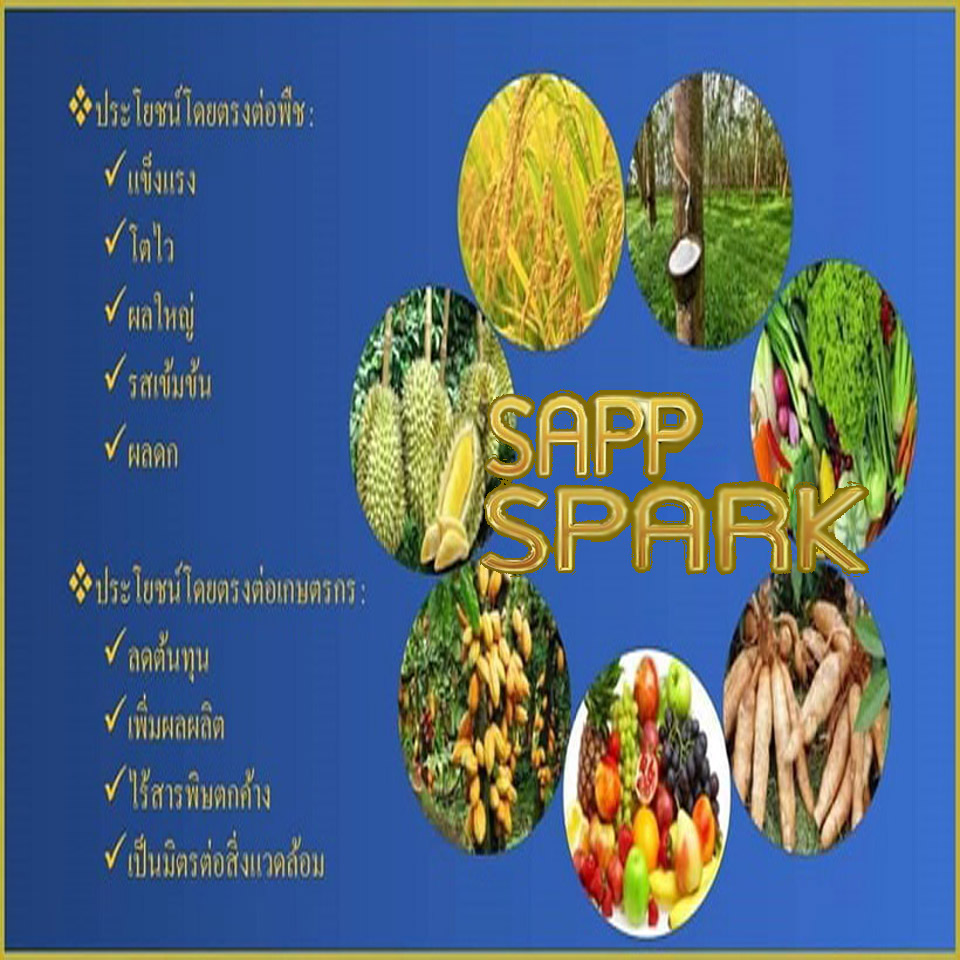 Sapp Spark,นวัตกรรมอะมิโนบำรุงพืซ,อาหารสำหรับพืช,ลดต้นทุน,เพิ่มผลผลิต,เป็นมิตรกับคน,และสิ่งแวดล้อม,sapp888,ปุ๋ย