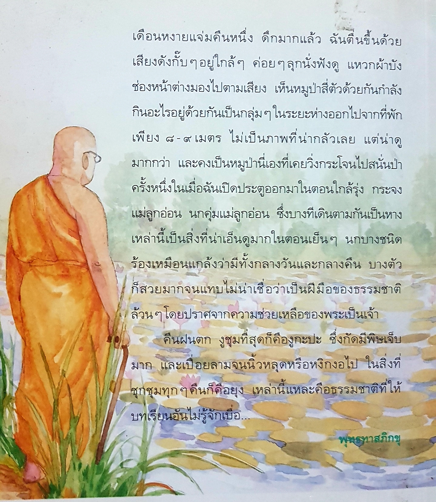 เทวดา คน พระ หมู หมา กา ไก่ ในสวนโมกข์ พจน์ ยังพลขันธ์