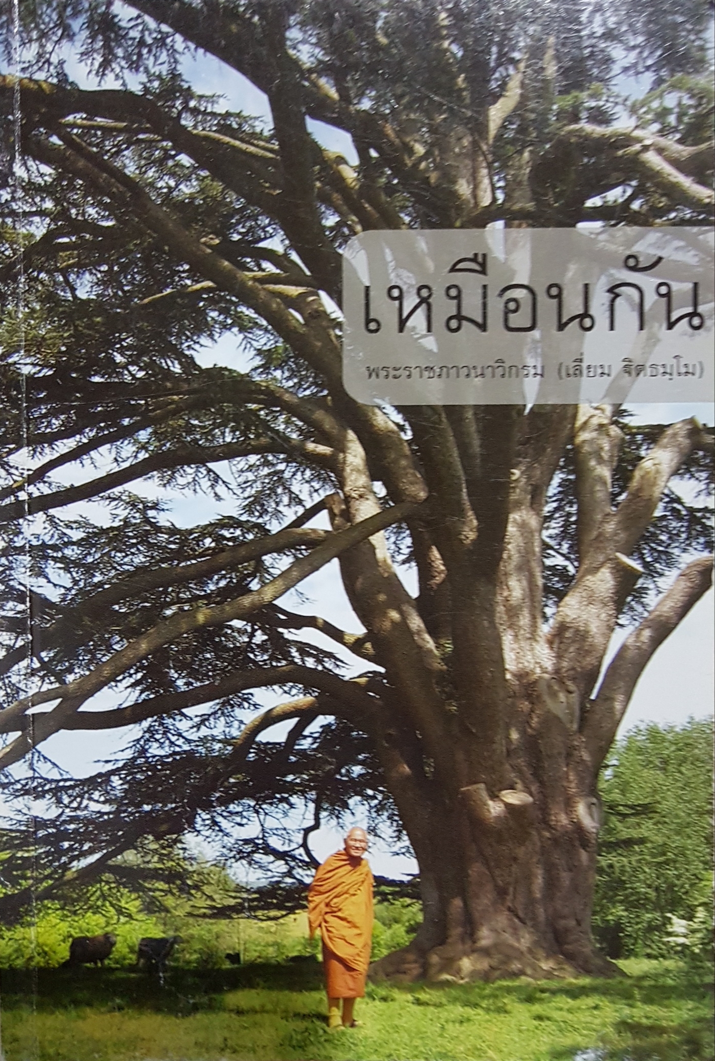 เหมือนกัน พระราชภาวนาวิกรม (เลี่ยม ฐิตธมโม)