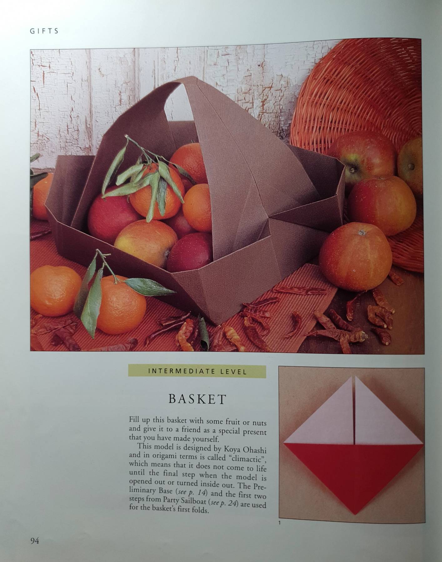 Discover Origami (Discover) : Rick Beech