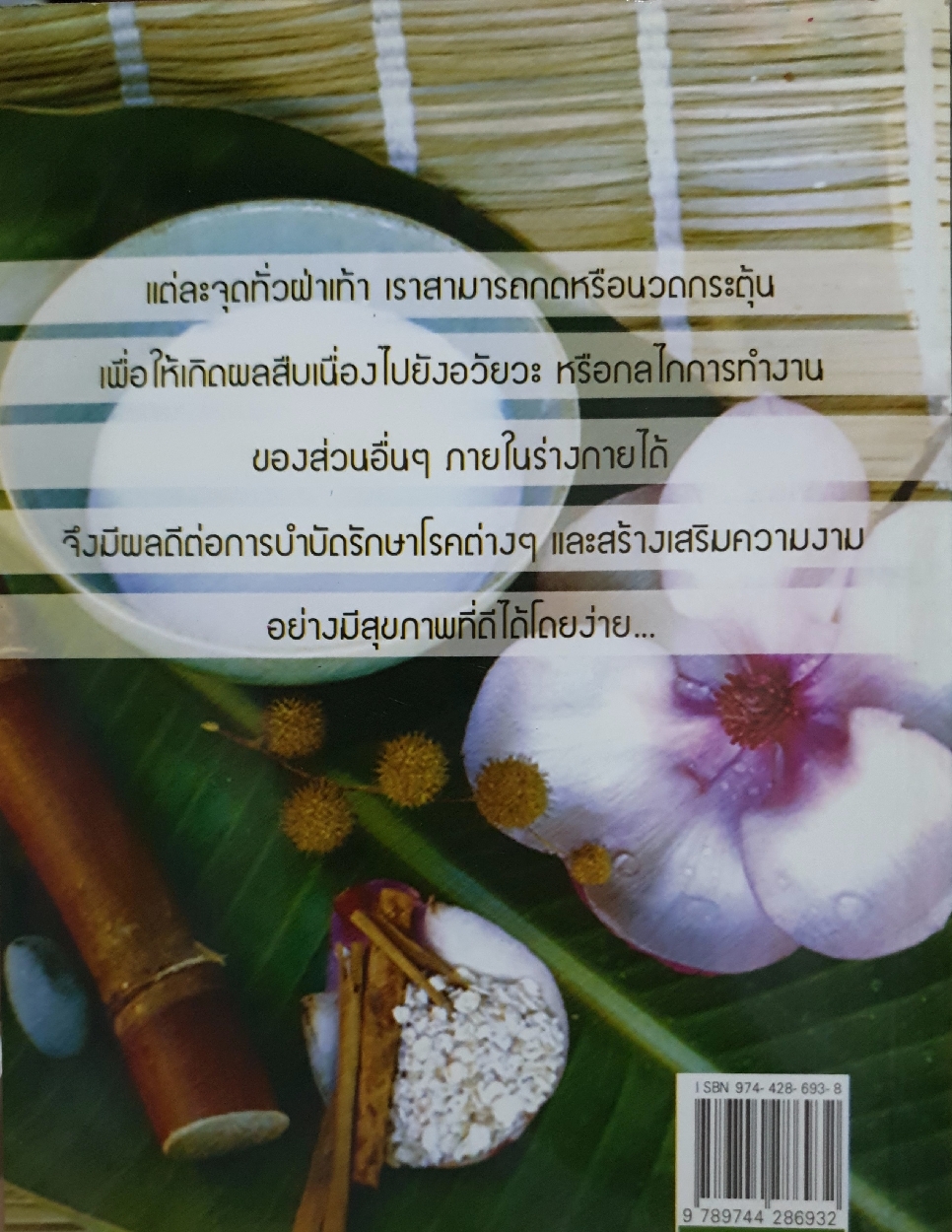 นวดฝ่าเท้า Reflexology บรรเทาโรค ฟื้นฟูสุขภาพ : เปรม แสงแก้ว