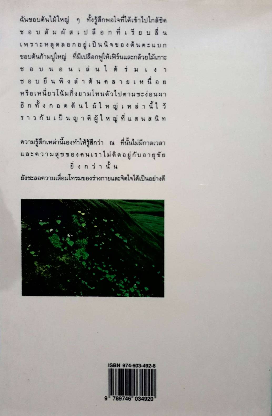 ไผ่ไหวชายน้ำ