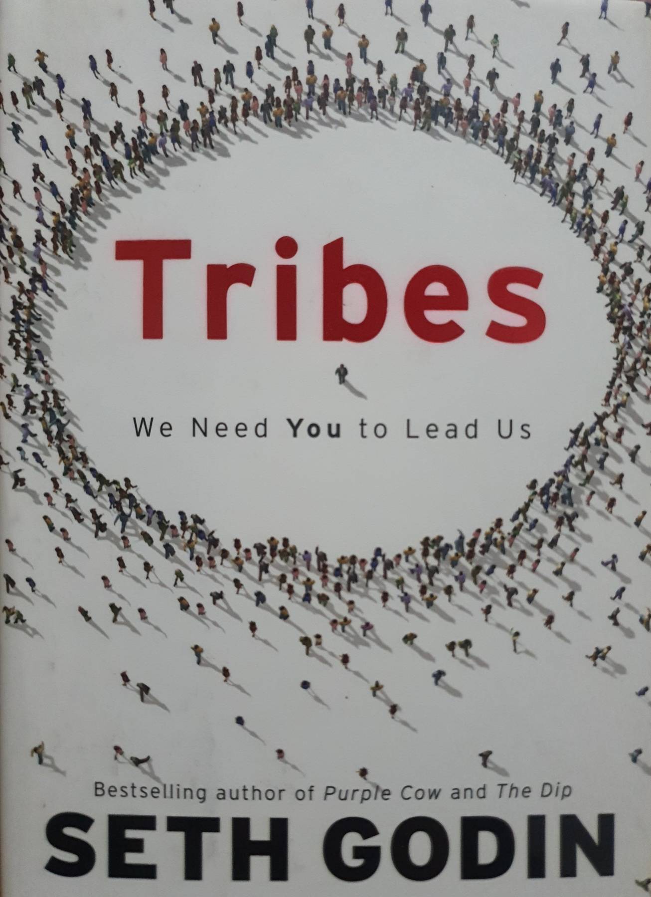 Tribes: We Need You to Lead Us : Seth Godin