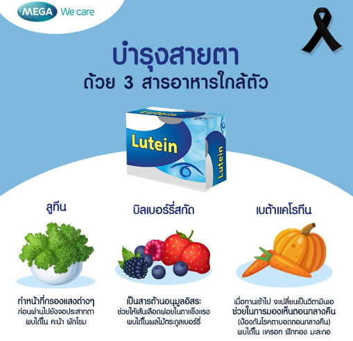 Mega II Care Bilberry Extract 30เม็ด บำรุงสายตา