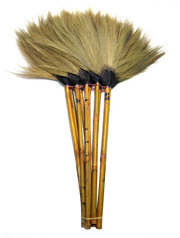 ไม้กวาดอ่อน