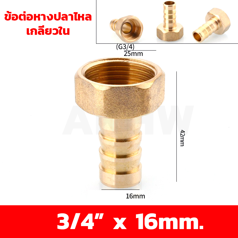 ข้อต่อหางปลาไหลเกลียวใน/เกลียวนอก ทองเหลือง KingsMan ขนาด 1/2นิ้ว 3/4นิ้ว [ขายปลีก/ส่ง]