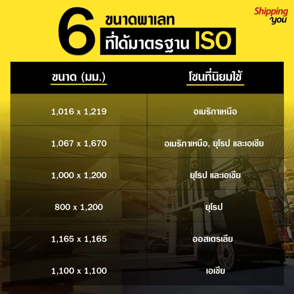 ขนาดพาเลสไม่เกิน1.20ม.ทั้ง2ด้านยกเว้นแถวอเมริกาเหนือ1.60ม.