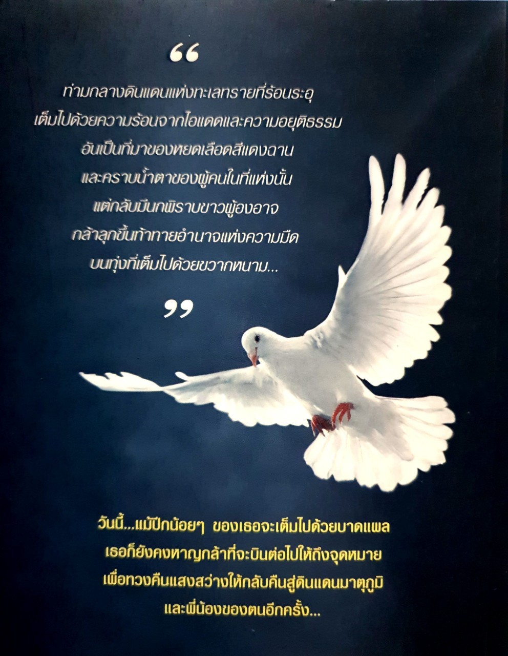 พิราบขาวแห่งทุ่งอธรรม We are Malala : ยอดมาลา มาลา / เจนจิรา รอดกันภัย