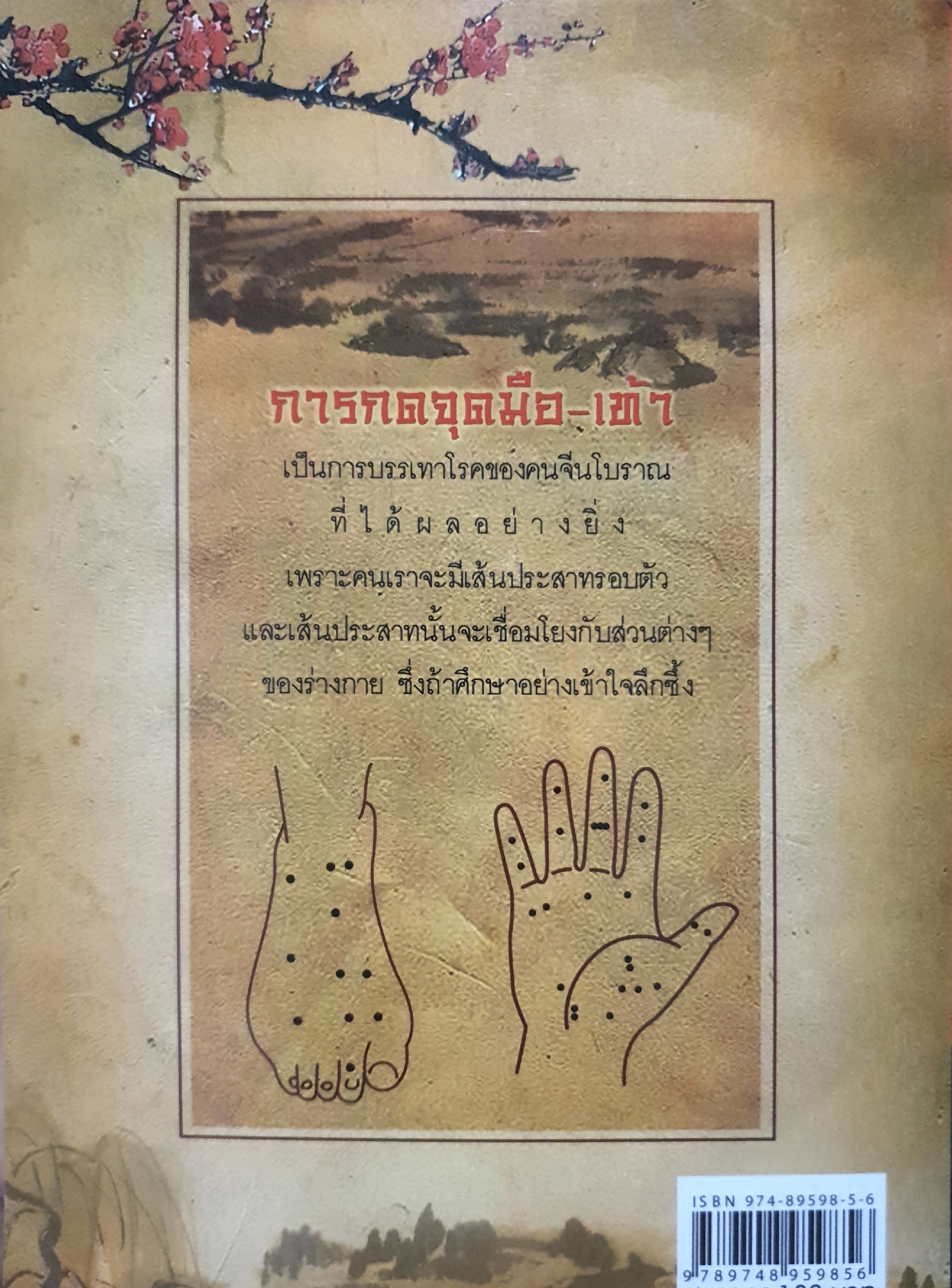 กดจุดมือ-เท้า บรรเทาโรค ผ่อนคลายความเครียด ด้วยตนเอง : ปาจรีย์ นุพงษ์ เรียบเรียง