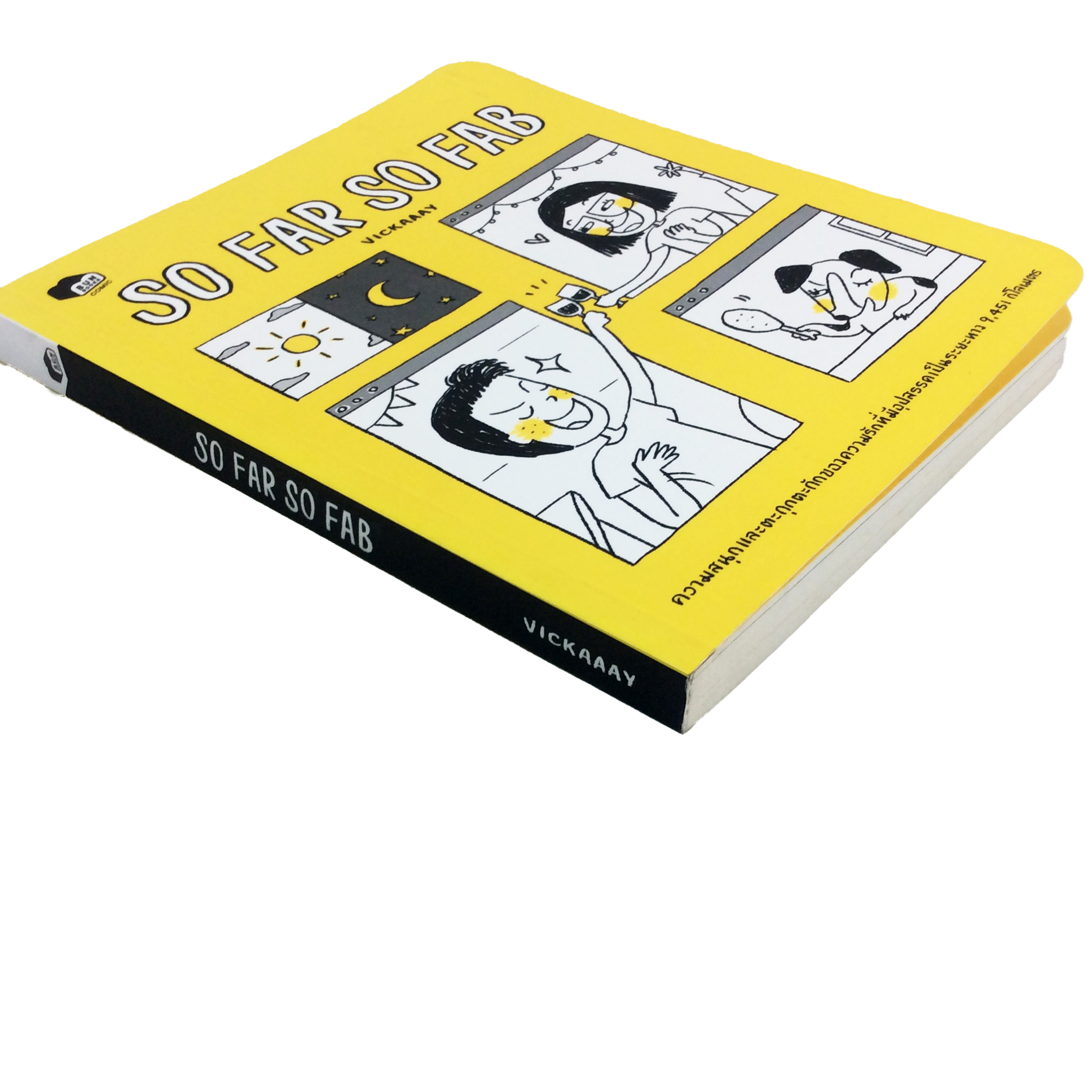 SO FAR SO FAB ความรักที่มีอุปสรรคเป็นระยะทาง 9,451 กิโลเมตร หนังสือ ความรัก การ์ตูน