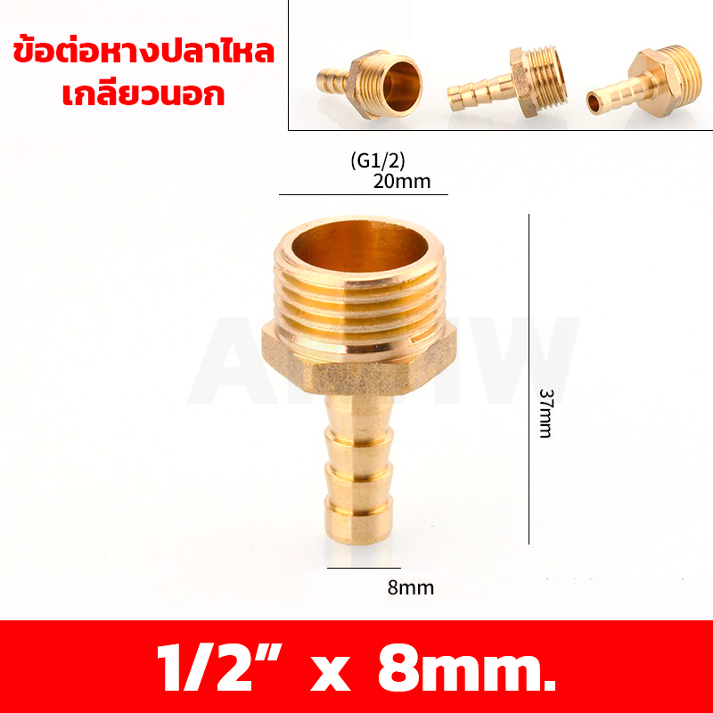 ข้อต่อหางปลาไหลเกลียวใน/เกลียวนอก ทองเหลือง KingsMan ขนาด 1/2นิ้ว 3/4นิ้ว [ขายปลีก/ส่ง]