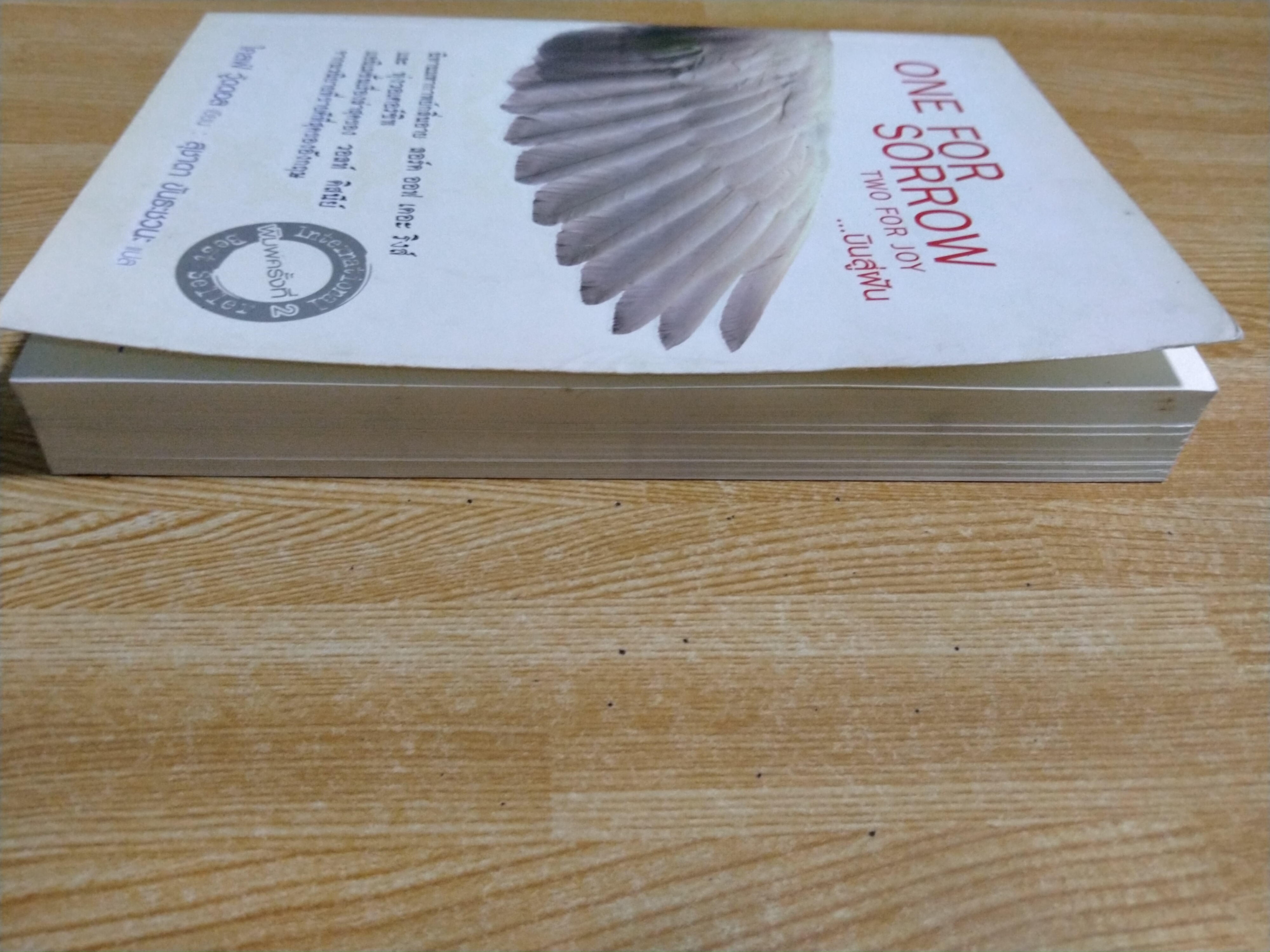 ONE FOR SORROW TWO FOR JOY...บินสู่ฝัน