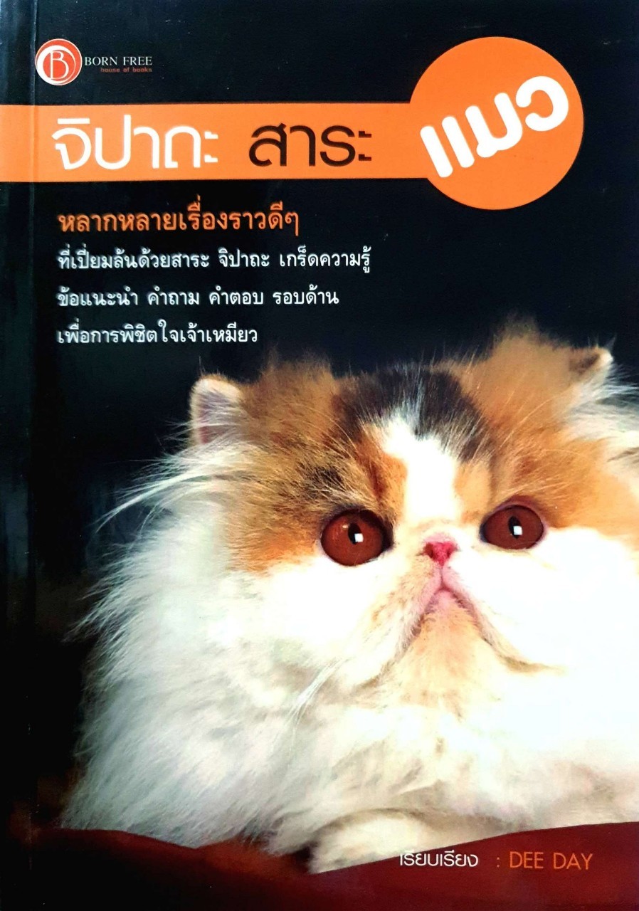 จิปาถะ สาระแมว : DEE DAY