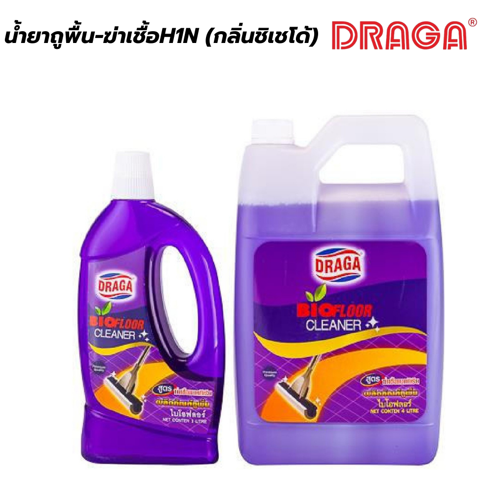น้ำยาถูพื้น-ฆ่าเชื้อ H1N1(กลิ่นชิเชโด้) ดราก้า DRAGA [สินค้าสั่งโรงงาน ขายยกลัง]