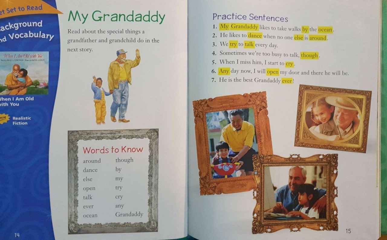 Houghton Mifflin Reading : WONDERS