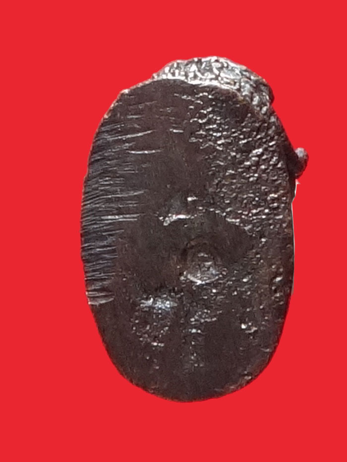 (9) เสือมหาอำนาจ "พยัคฆ์คำราม" หลวงพ่อเกตุ วัดเกาะหลัก รุ่นแรก ปี 2531 เนื้อทองผสม (ต๊อกโค๊ต)