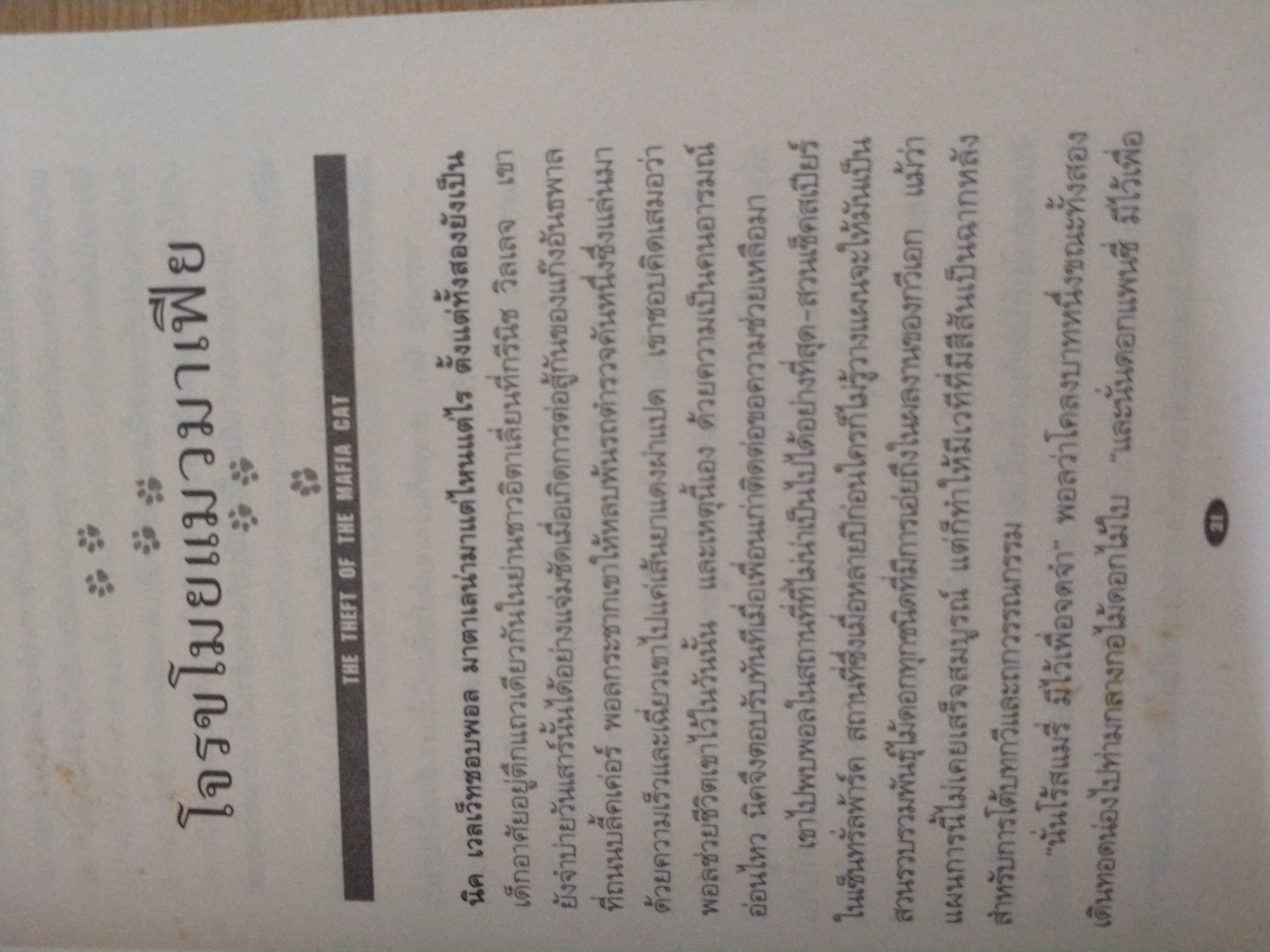 สืบจากแมว