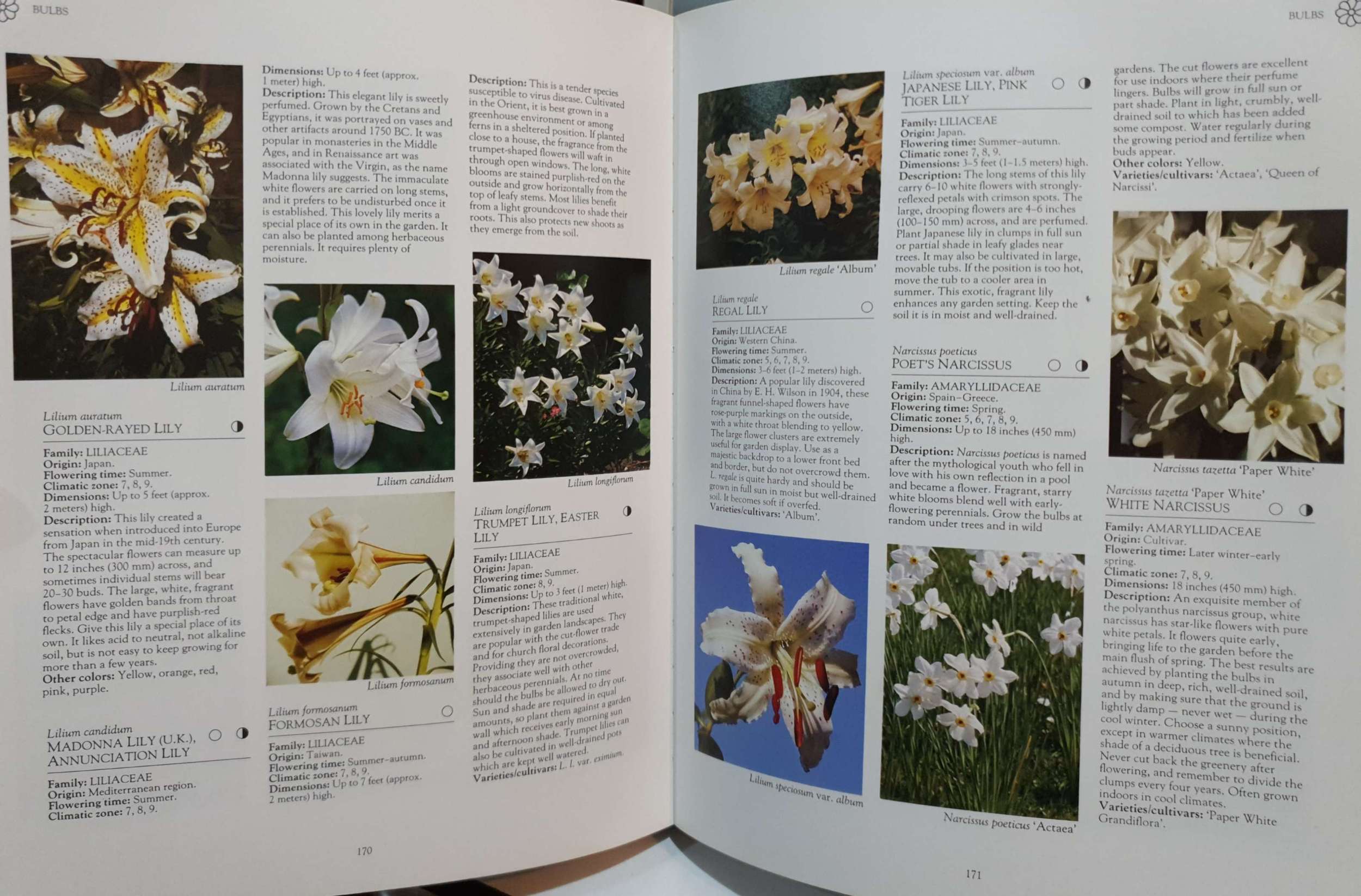 Encyclopedia of Flowers Over 1,000 Popular Flowers,Flowering Shrubs and Trees