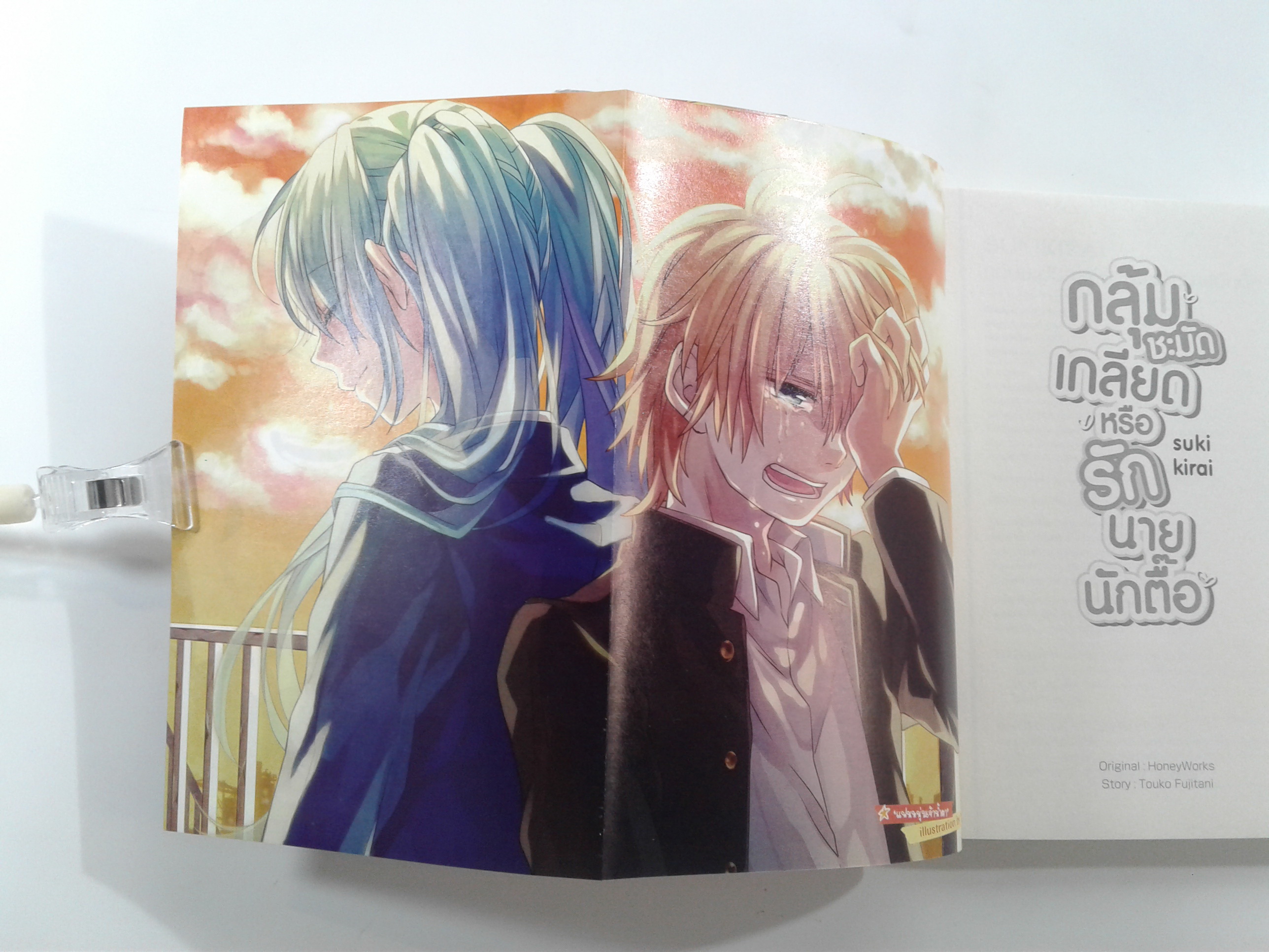 กลุ้มชะมัดเกลียดหรือรักนายนักตื๊อ นิยาย นิยายแปล ไลท์โนเวล