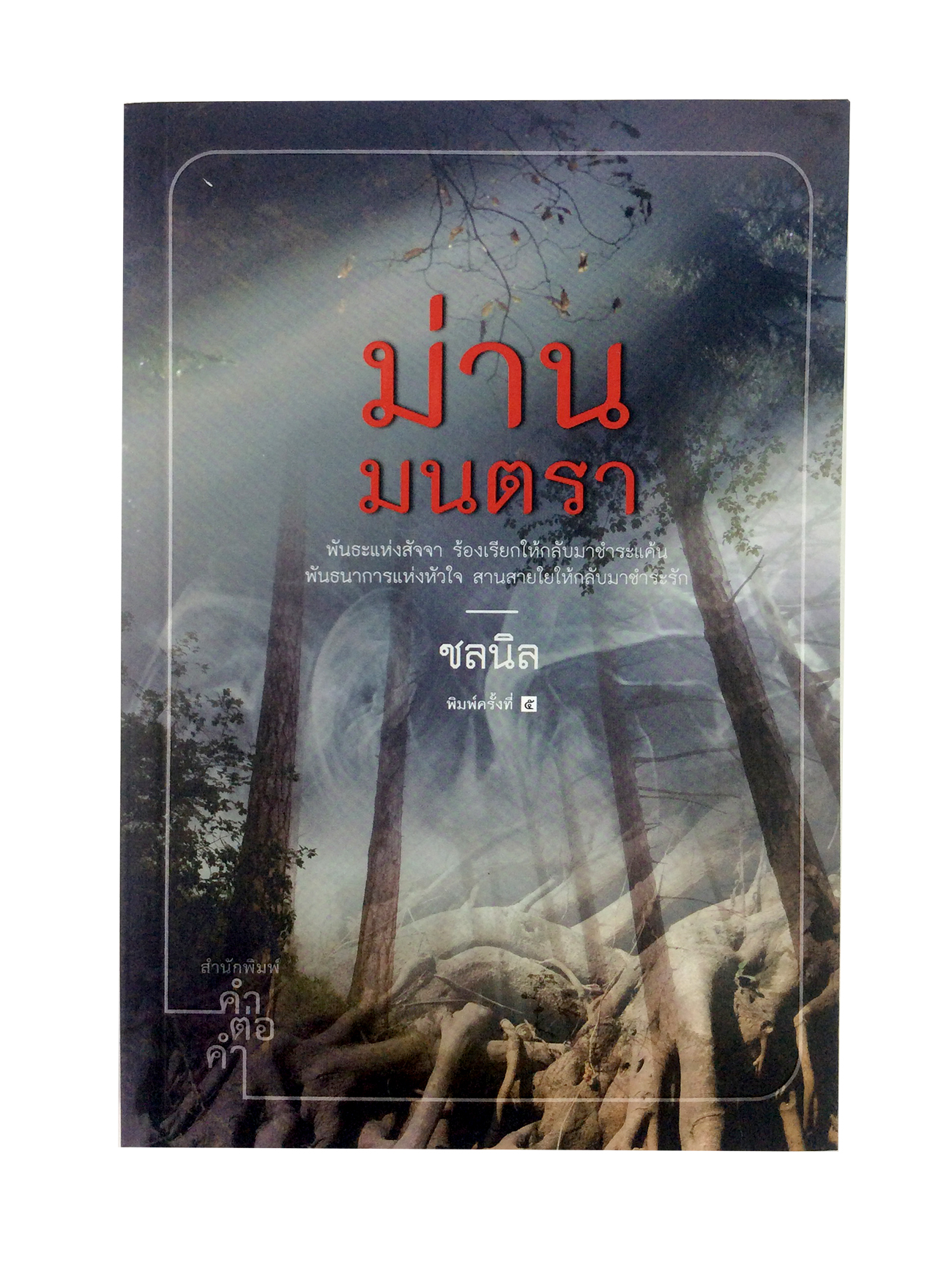 ม่านมนตรา นิยาย นิยายโรแมนติก