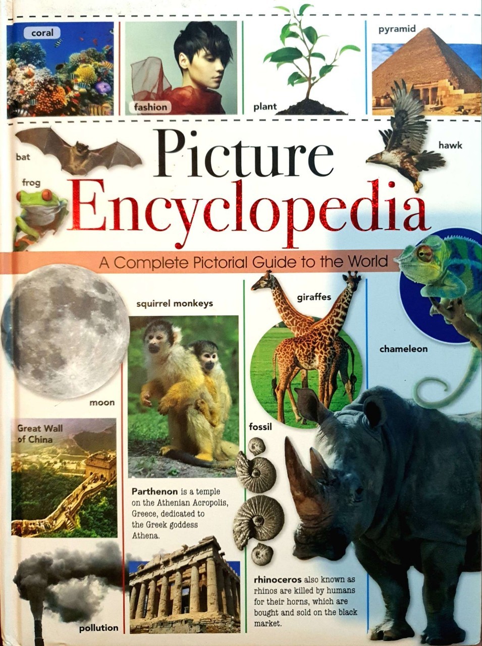 PICTURE ENCYCLOPEDIA : A Complete Pictorial Guide to the World