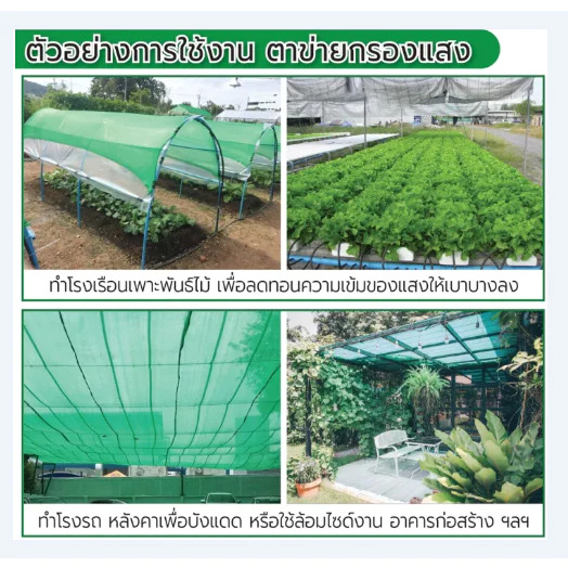 ตาข่ายกรองแสง 70% สีเขียว ขนาด 2x50 เมตร | สแลนกันแดด คลุมแปลงผัก โรงเรือน ฟาร์ม – KasetExpress