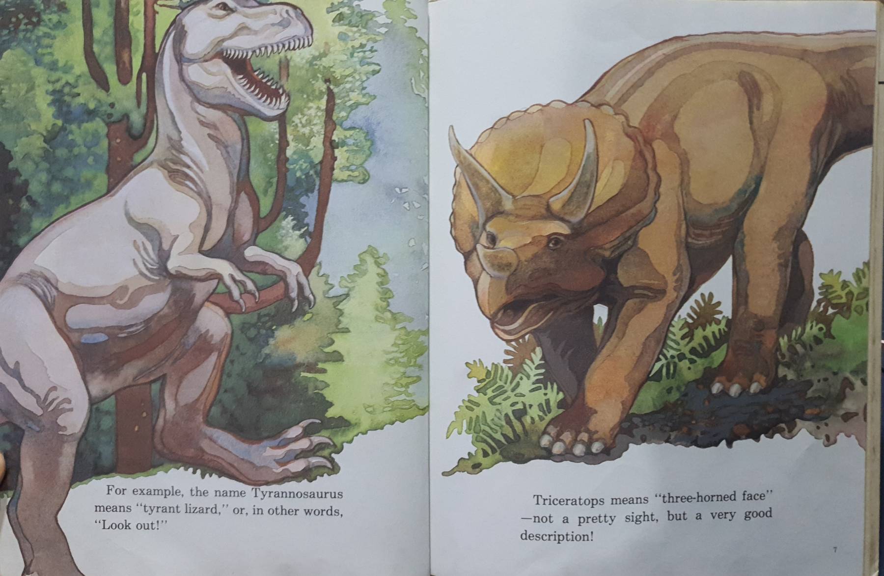 Megalosaurus (Dinosaur Books) Library Binding , 1992 English Edition by Laura Alden