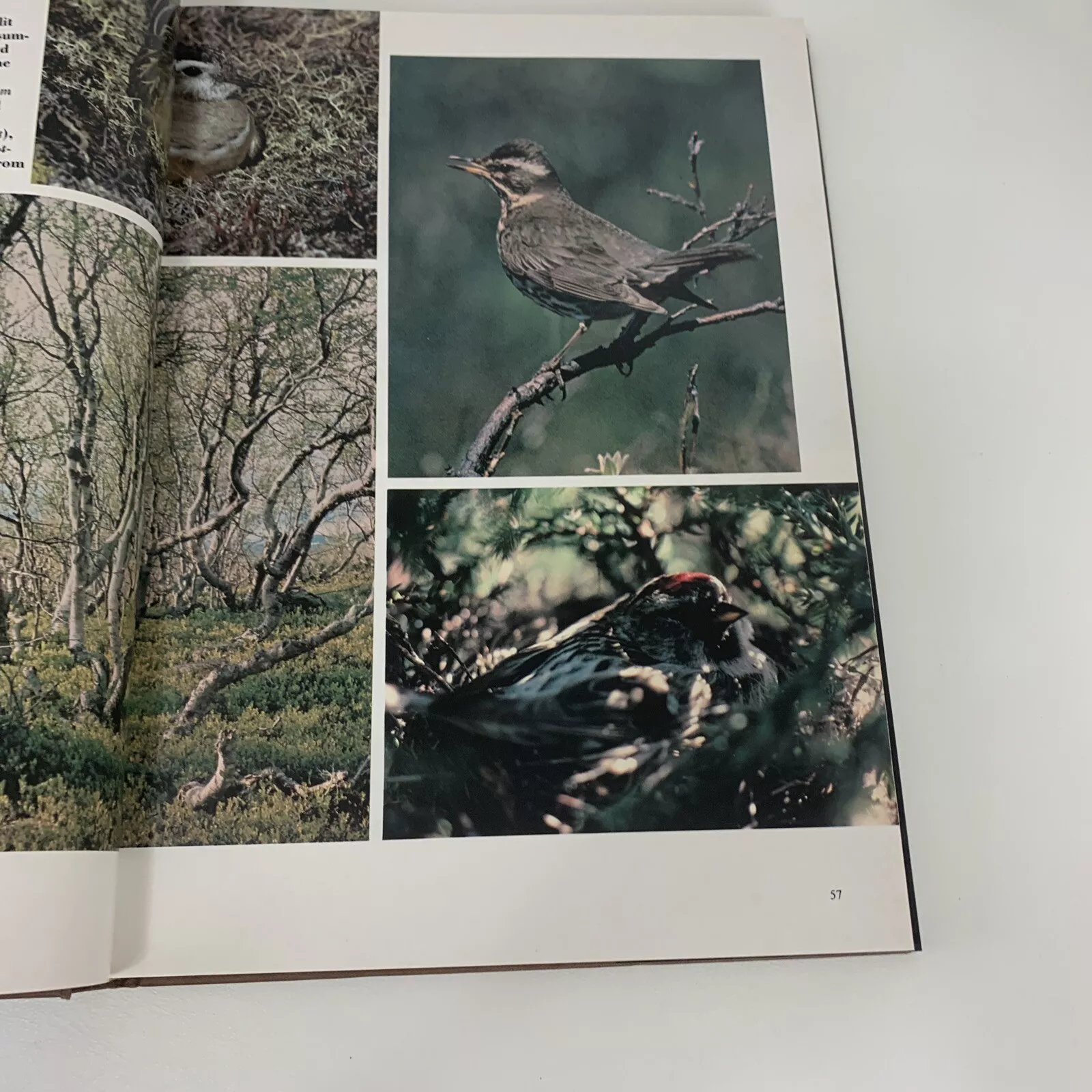 Wilderness Expeditions Hardcover – January 1, 1981