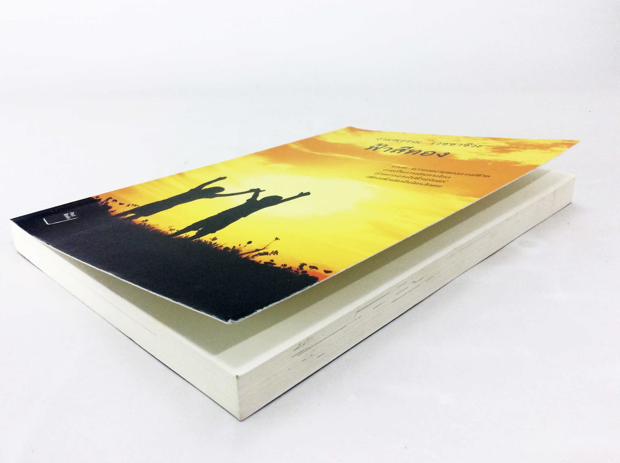 ฟ้าสีทอง ความงดงามของชีวิต อาจเป็นการเดินทางไกล หนังสือนิยาย วรรณกรรม