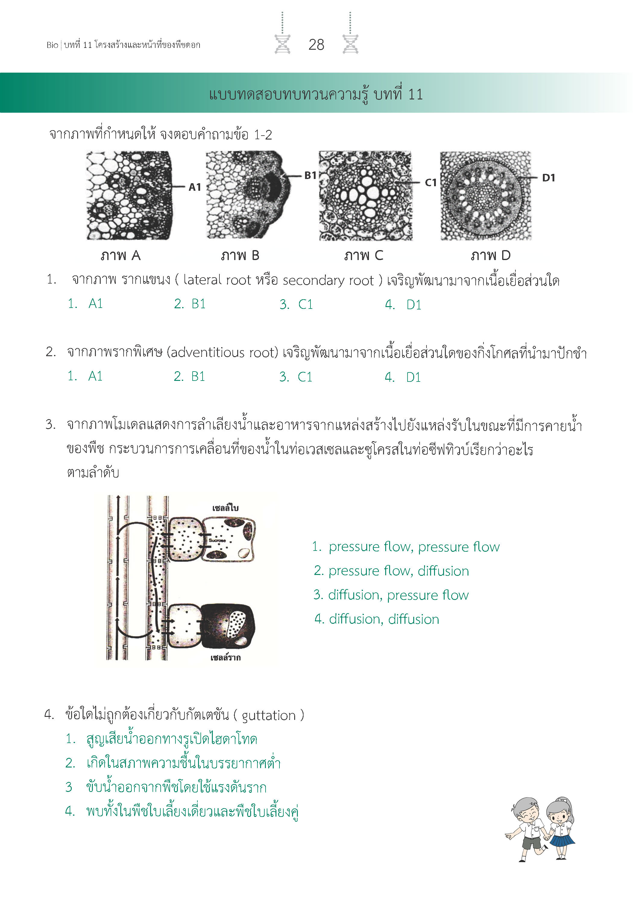 สรุปเข้ม ชีววิทยา เล่ม 2 (พิมพ์ 4 สี)