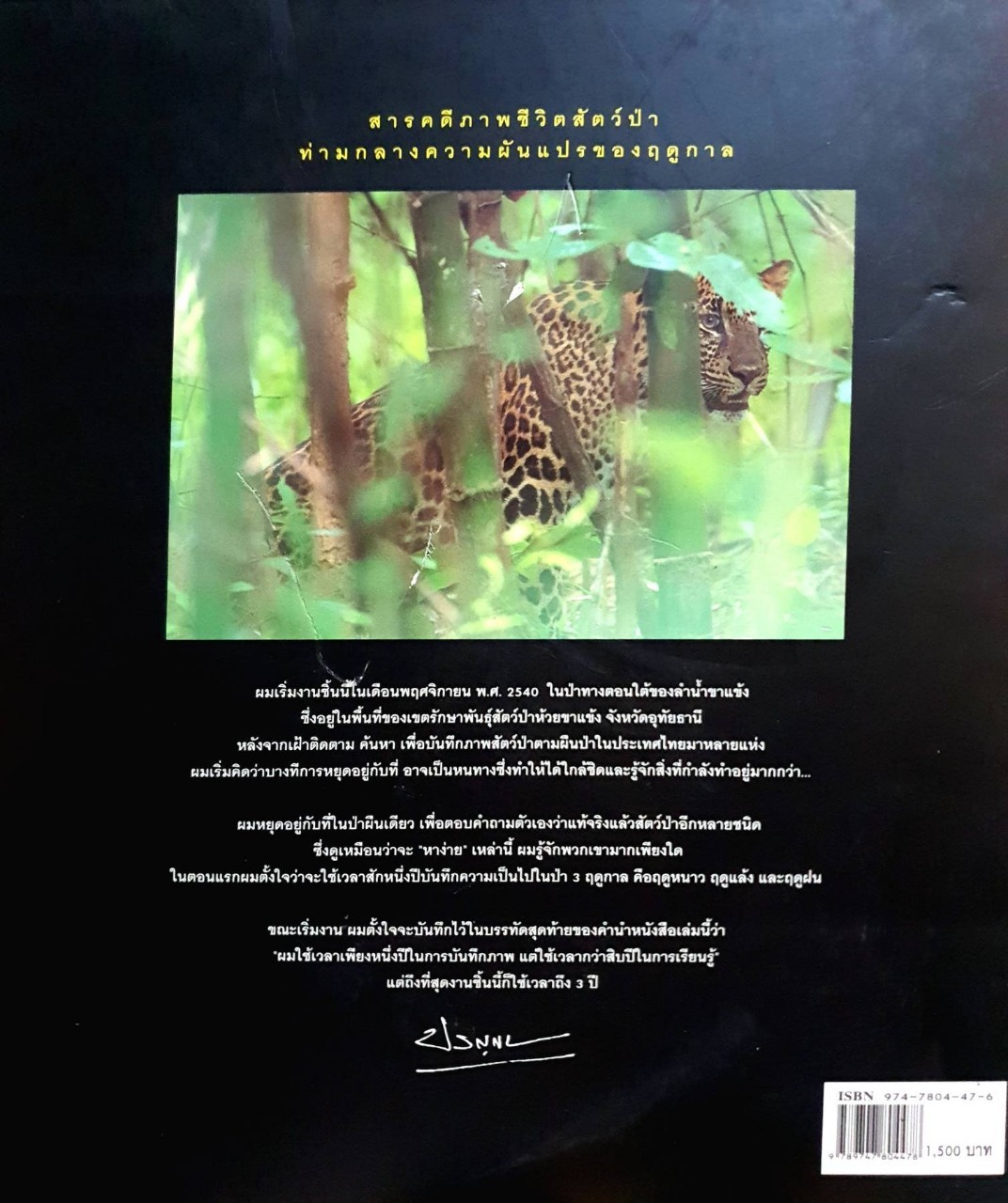 ชีพจรไพร : Spirit of Jungle