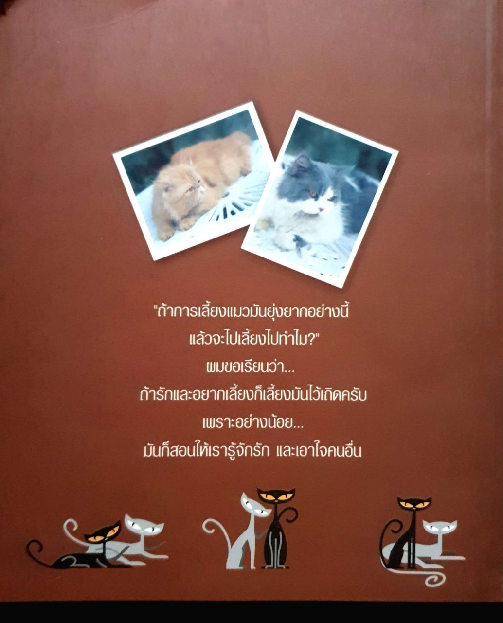 คนรักแมว : ผู้เขียน สมัคร สุนทรเวช