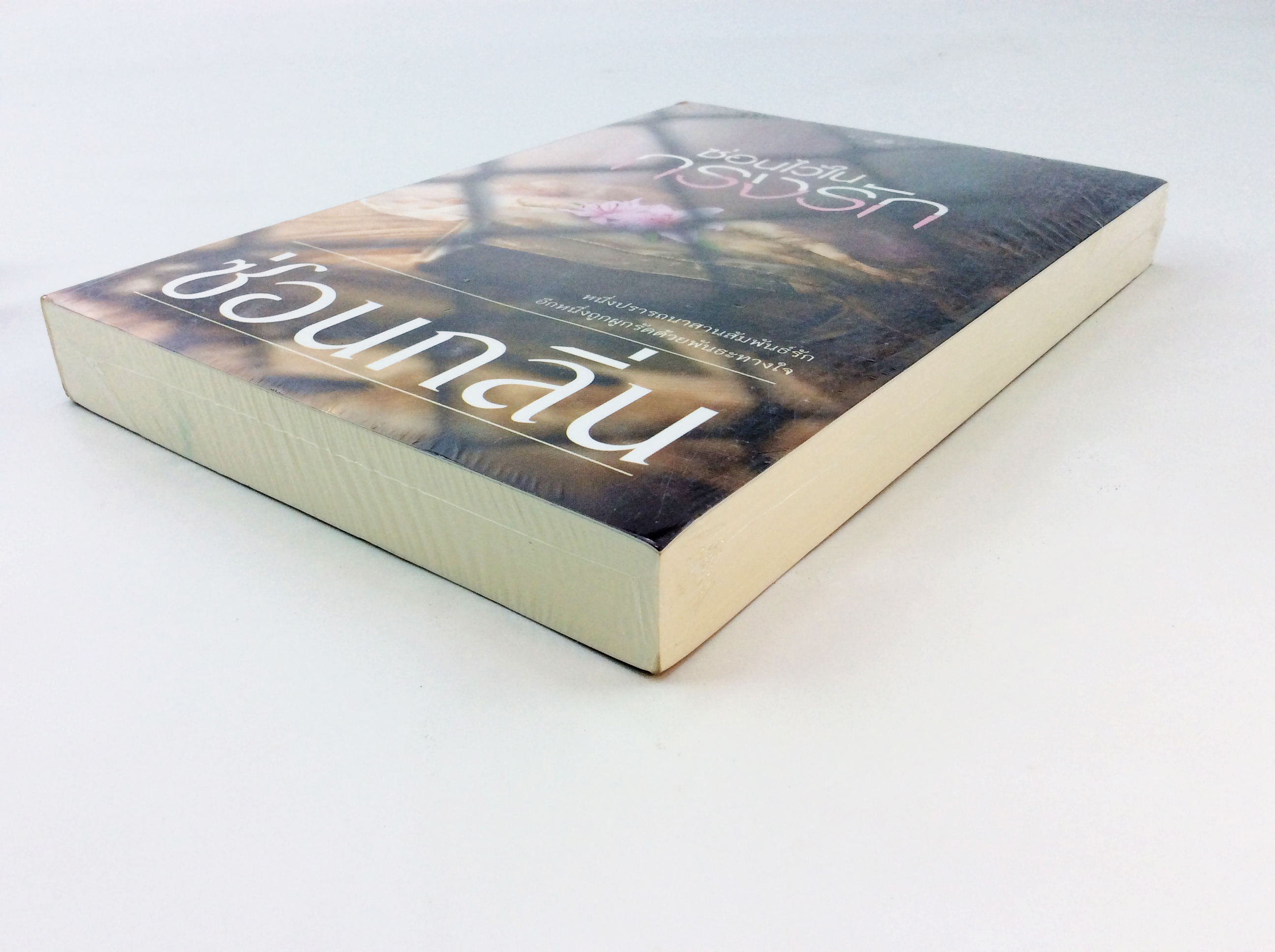 ซ่อนไว้ในกรงรัก นิยาย นิยายลดราคา หนังสือนิยาย