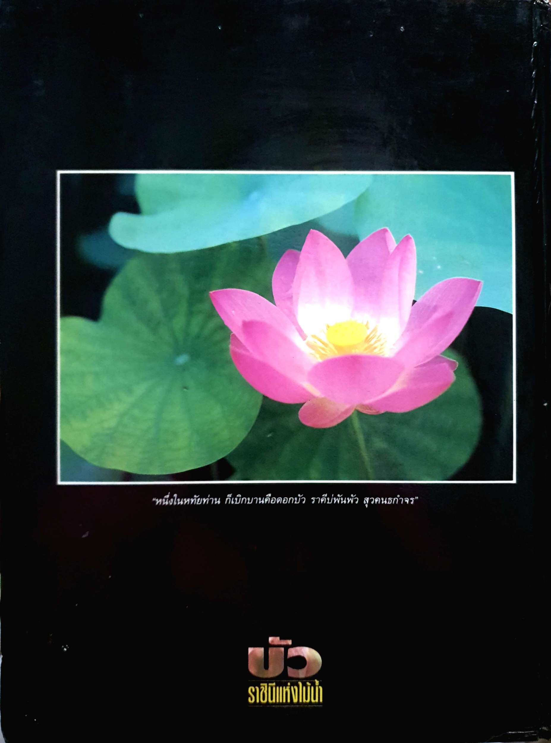 บัว ราชินีแห่งไม้น้ำ ปกแข็ง