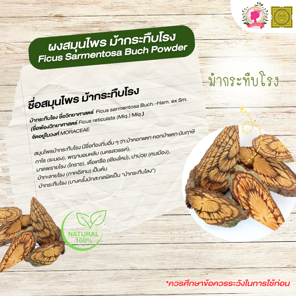 ผงม้ากระทืบโรง (Ficus Sarmentosa Bush Powder) ขนาด 500 1000 กรัม ม้ากระทืบโรง บดละเอียด สมุนไพร แท้ 100% FG-HBP-073