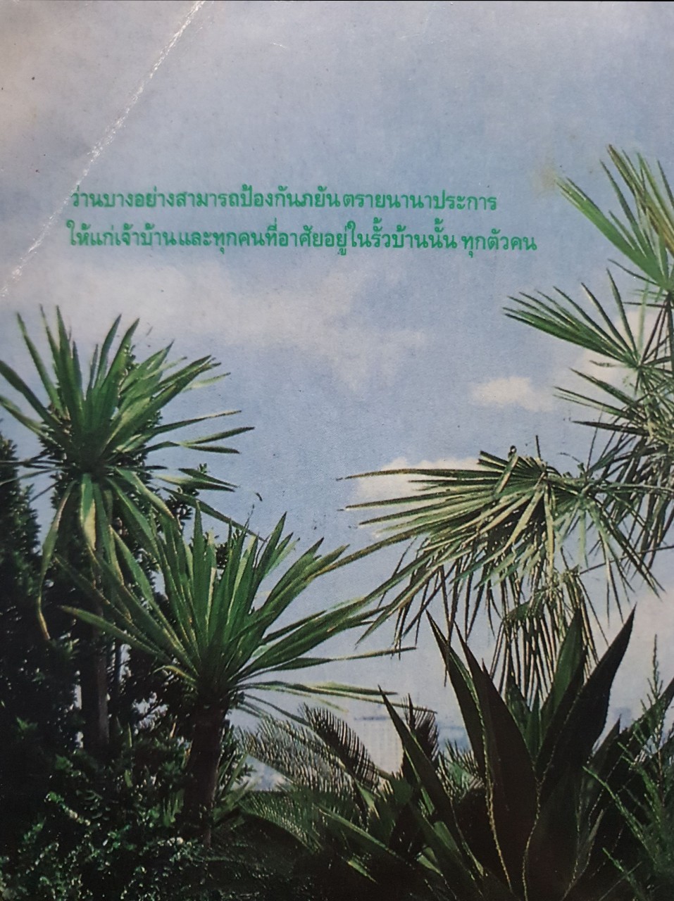 ว่าน...ต้นไม้อัศจรรย์ : วันชนะ; บรรณาธิการ, สุริยา บุณยศิริชัย