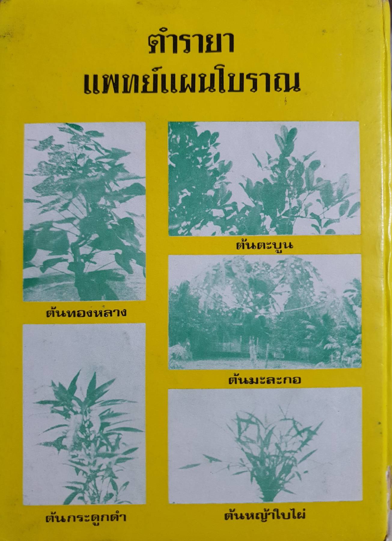 ตำรายา แพทย์แผนโบราณ โดย ปรีชา ช.พงษ์ภมร ปกแข็ง 422 หน้า ปี 2522