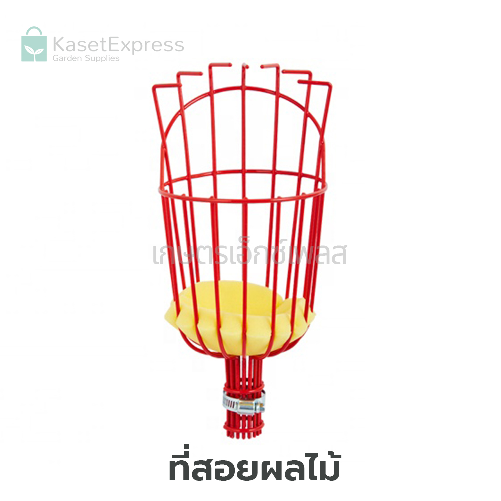 ที่สอยผลไม้ รุ่น SW322 - ตะกร้อสอยผลไม้ ที่สอยมะม่วง ตะกร้อสอยมะม่วง ที่สอยมะม่วง ที่เก็บผลไม้